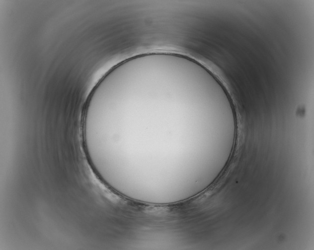 X0000114991006200911161509