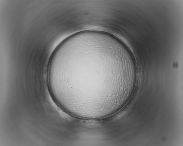 X0000114991007200911161509