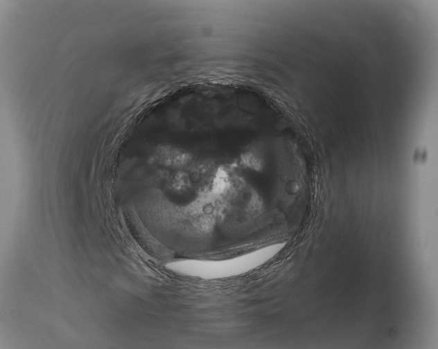 X0000114991009200911161508