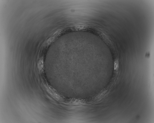 X0000114991011200911161508