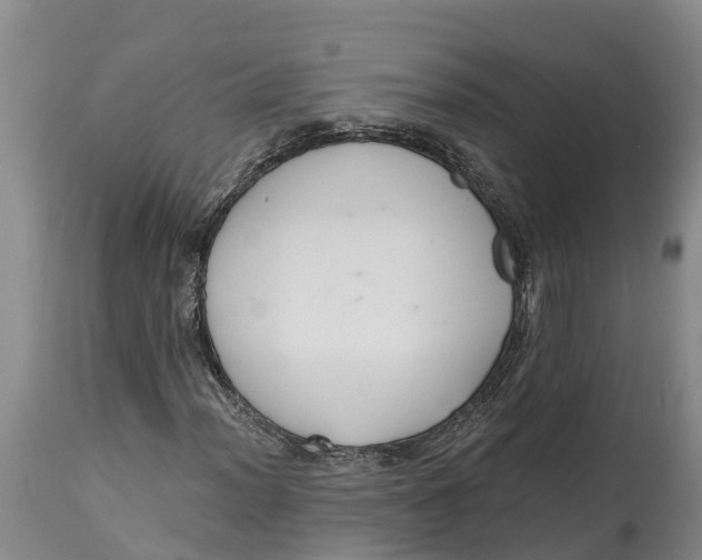 X0000114991012200911161508