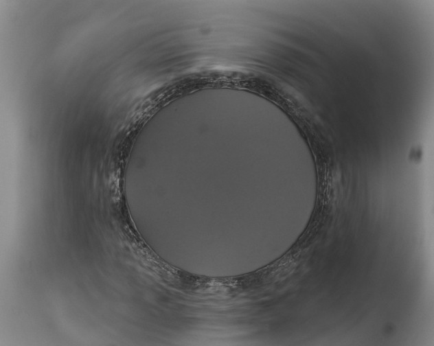 X0000114991013200911161508