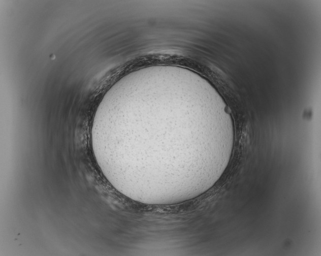 X0000114991014200911161508