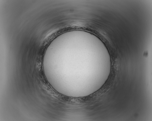 X0000114991015200911161508