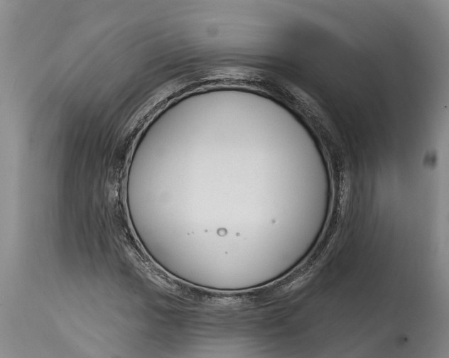 X0000114991017200911161508