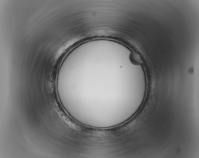 X0000114991018200911161509