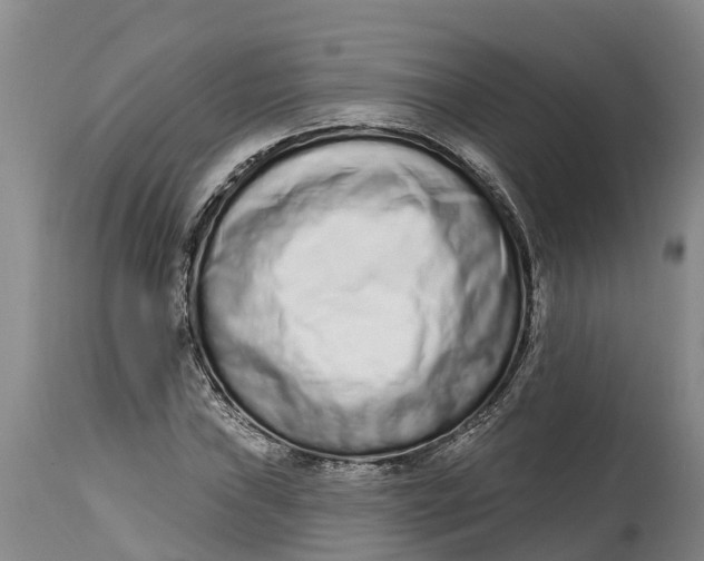 X0000114991019200911161509