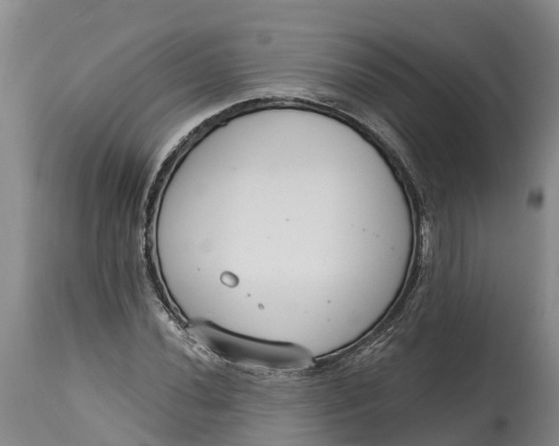 X0000114991020200911161509