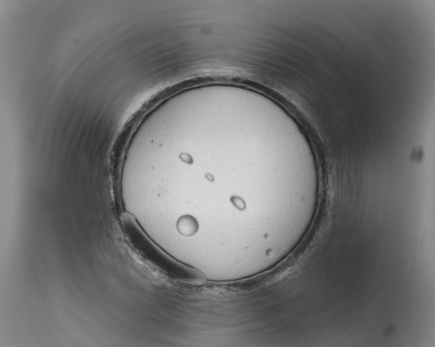 X0000114991022200911161509