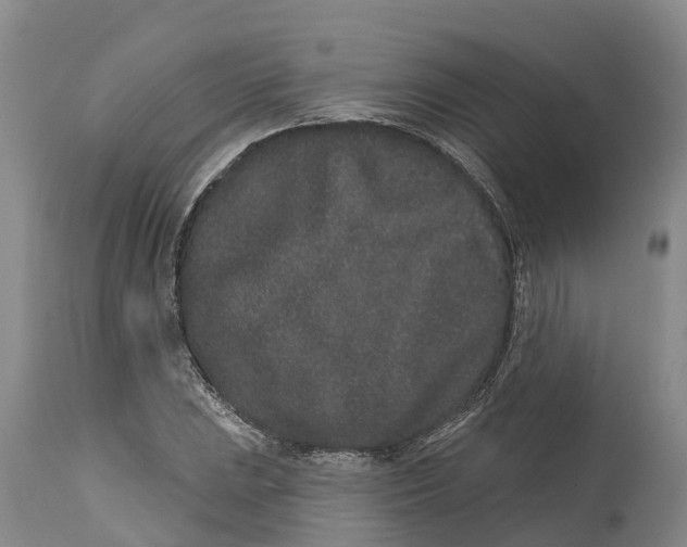 X0000114991023200911161509