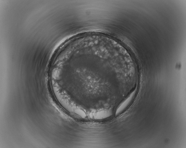 X0000114991024200911161509