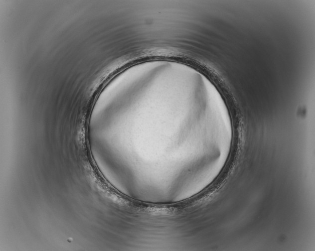 X0000114991025200911161509