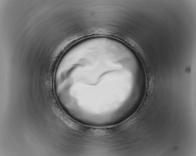 X0000114991027200911161509