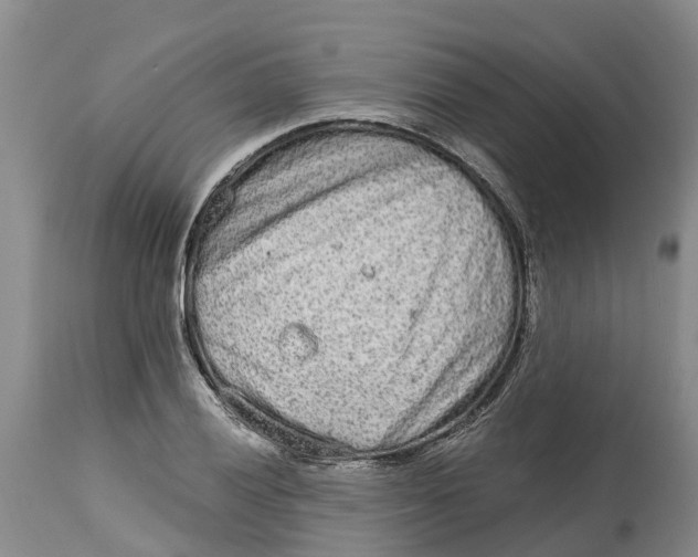 X0000114991028200911161509