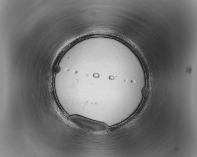 X0000114991029200911161509