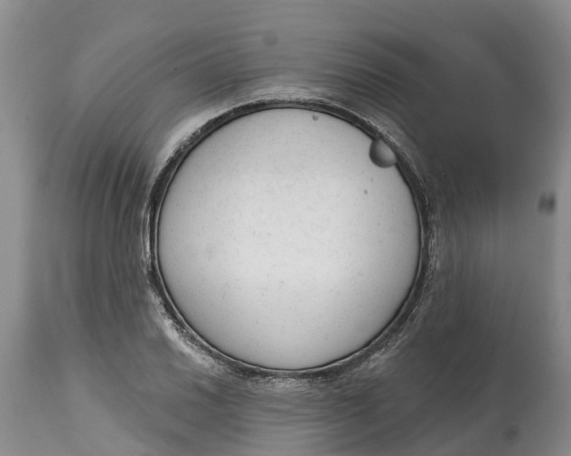 X0000114991030200911161509