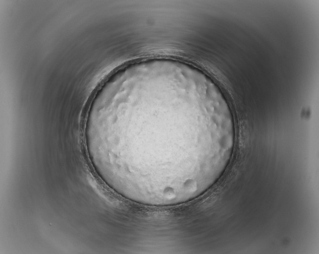 X0000114991031200911161509