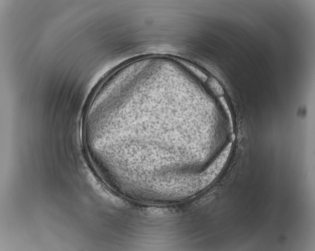 X0000114991032200911161509