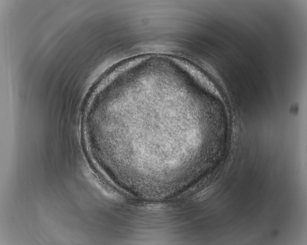 X0000114991035200911161509