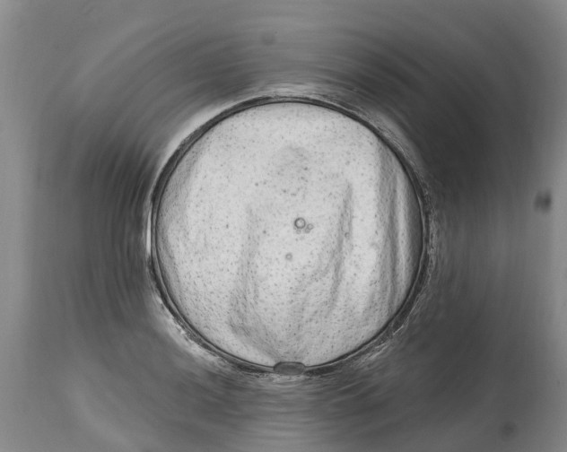 X0000114991036200911161509