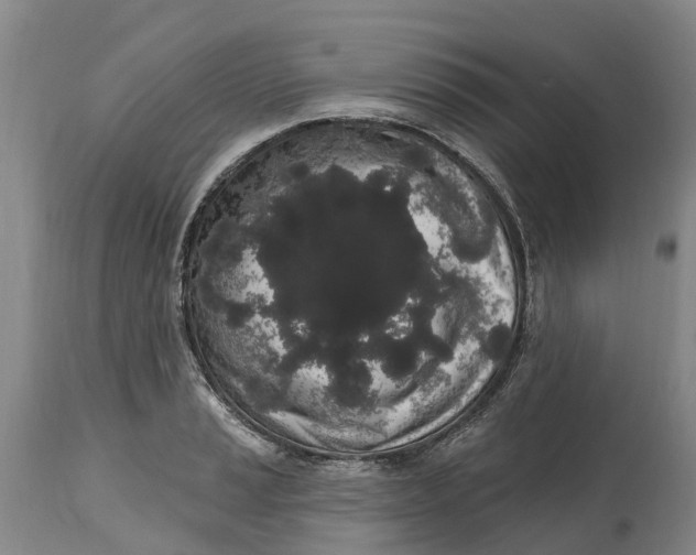 X0000114991037200911161509