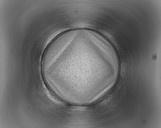 X0000114991039200911161509