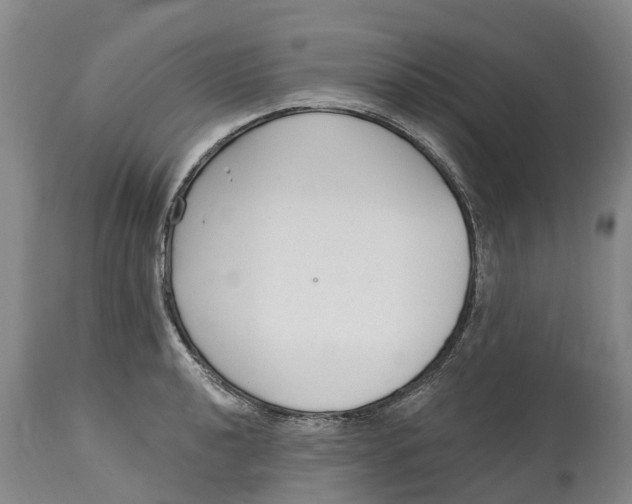 X0000114991040200911161509