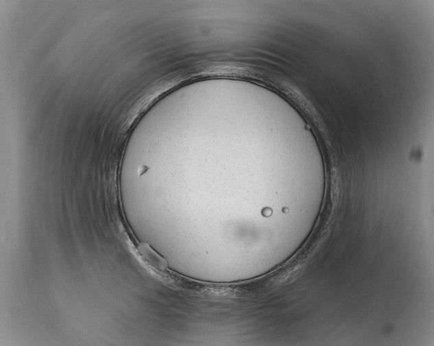 X0000114991041200911161509