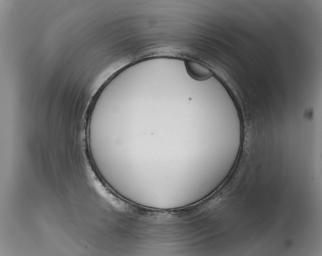 X0000114991042200911161509