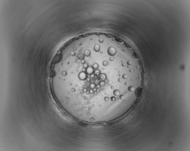 X0000114991043200911161509