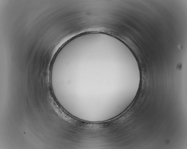 X0000114991044200911161509