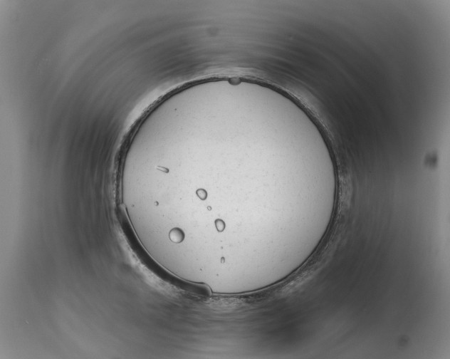 X0000114991046200911161509