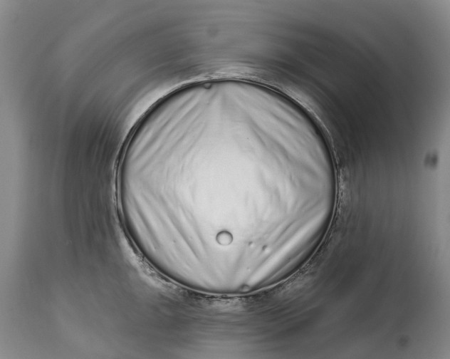 X0000114991047200911161509