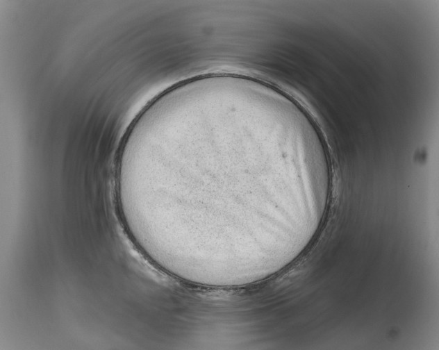 X0000114991048200911161509