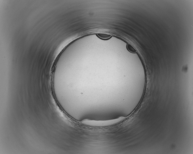 X0000114991050200911161509