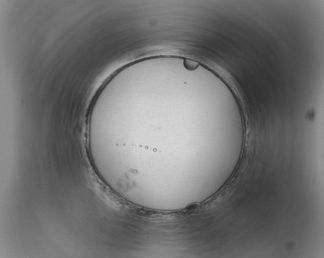 X0000114991051200911161509