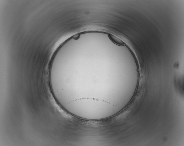 X0000114991053200911161509