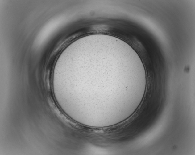 X0000114991054200911161509