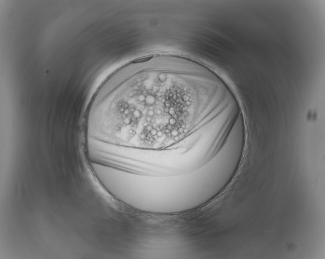 X0000114991056200911161509