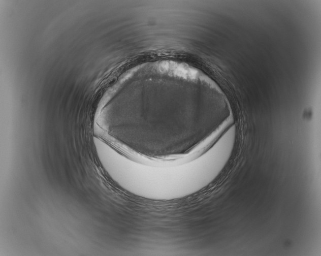 X0000114991060200911161508