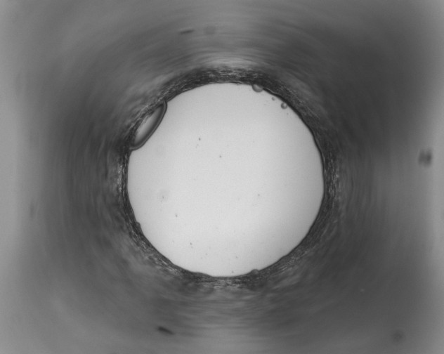 X0000114991061200911161508