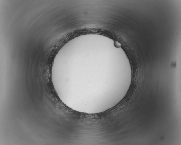 X0000114991062200911161508