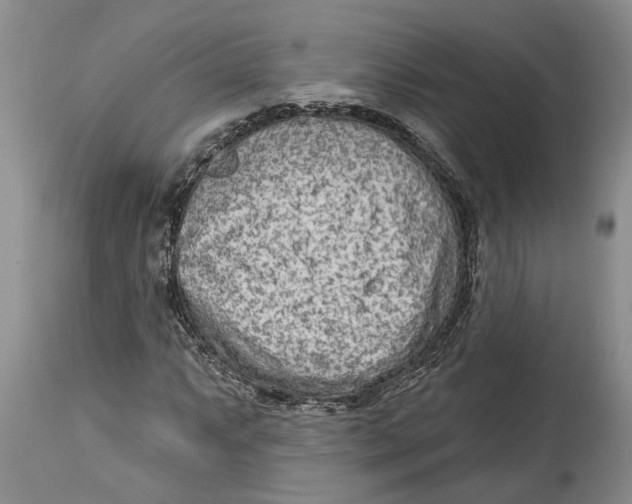 X0000114991063200911161508