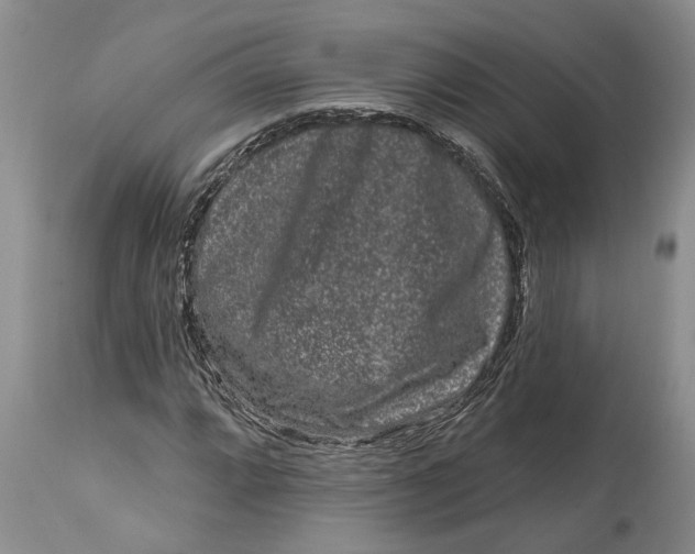 X0000114991064200911161508