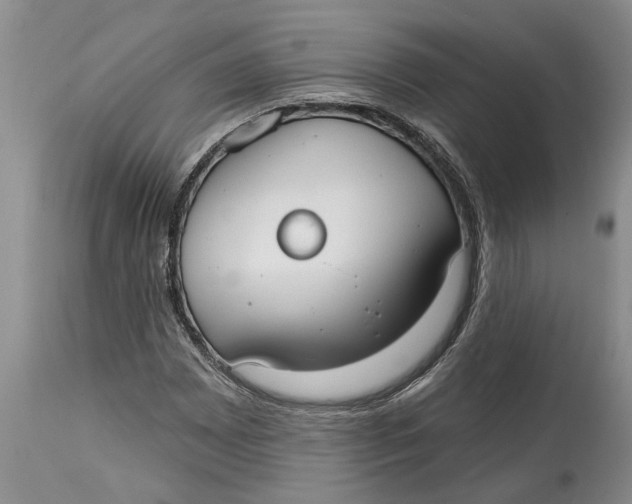 X0000114991065200911161508