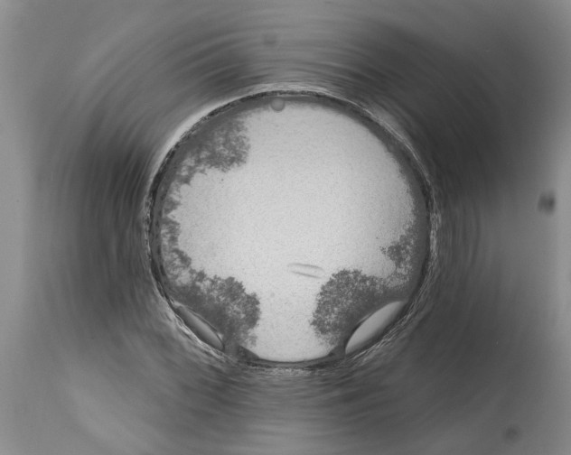 X0000114991068200911161508