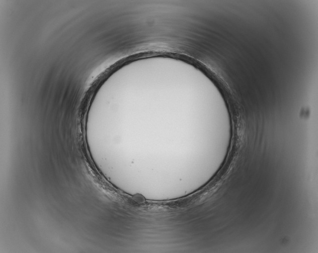 X0000114991070200911161508