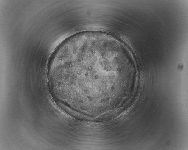 X0000114991071200911161508