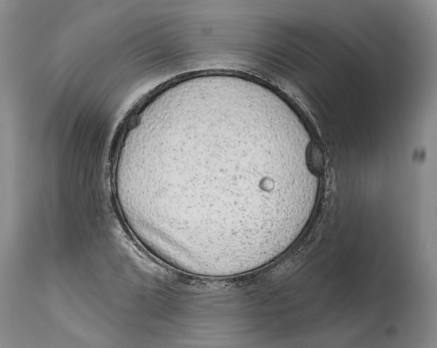 X0000114991072200911161508