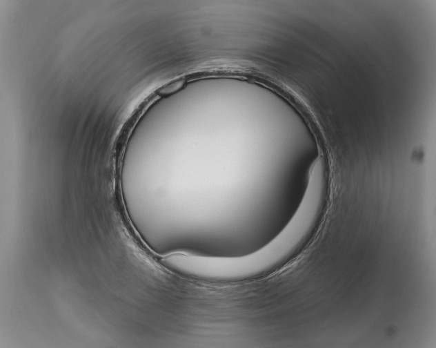 X0000114991075200911161508